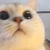 まずはありがとう