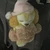 さとね