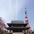 shokkaku