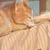 あやこ