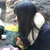 あや