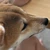サキちゃん