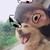 Sumika