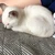 くー