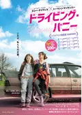 ドライビング・バニー