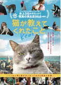 猫が教えてくれたこと