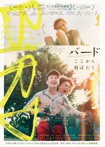 バード ここから羽ばたく