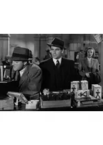 秘密調査員／秘密捜査官