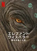 エレファント・ウィスパラー：聖なる象との絆