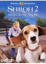 ビーグル犬 シャイロ2