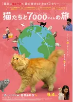 猫たちと7000マイルの旅
