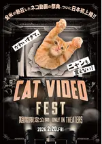 CatVideoFest