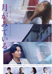 月がみている