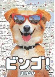 ビンゴ！