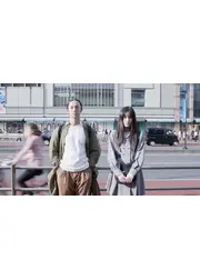 Behavior of the city