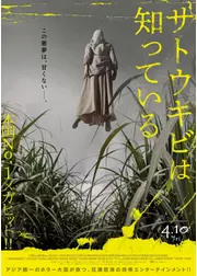 サトウキビは知っている