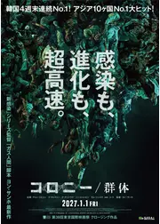 コロニー／群体