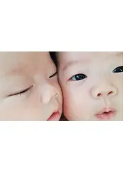 双子暦記（れっき）・私小説