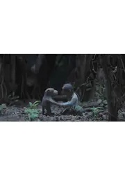 すべては大丈夫