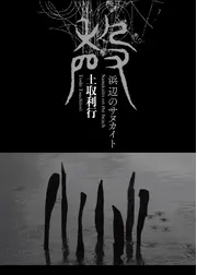 浜辺のサヌカイト