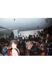 ライズ・オブ・レッド・ホット・チリ・ペッパーズ