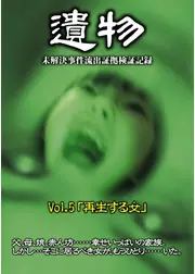 遺物 未解決事件流出証拠検証記録