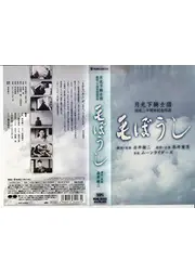 毛ぼうし