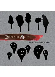 Spirits in the Forest（原題）
