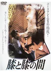 膝と膝の間