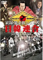 実録・暴走族シリーズ　日韓連合　小さな巨人　野山榮澤
