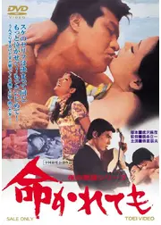 夜の歌謡シリーズ 命かれても