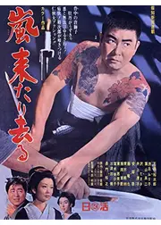 嵐来たり去る