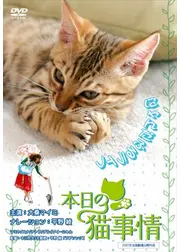 本日の猫事情