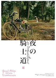 夜の騎士道