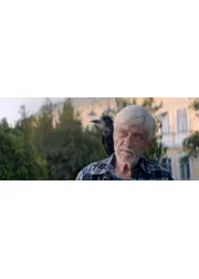 罠 ドナウ川の守り人