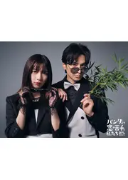 パンダより恋が苦手な私たち