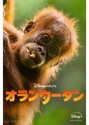オランウータン