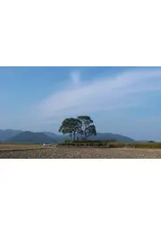 風船