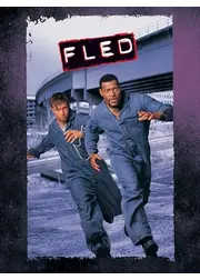 F.L.E.D.／フレッド