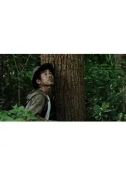 私たちは森の果実