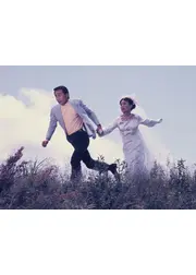 ひばり・橋の花と喧嘩