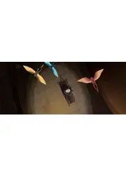 オウムの彼女
