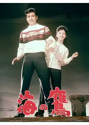 海の鷹