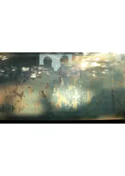 FLASH