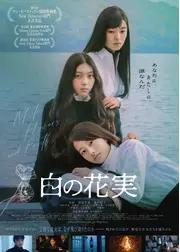 白の花実