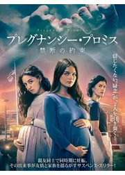 プレグナンシー・プロミス 禁断の約束