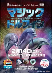 マジックドルフィン