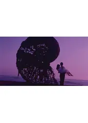アンモナイトのささやきを聞いた
