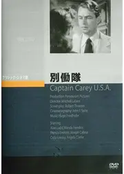 別働隊