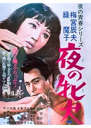 夜の牝犬